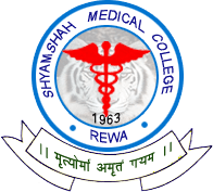 rewa-logo